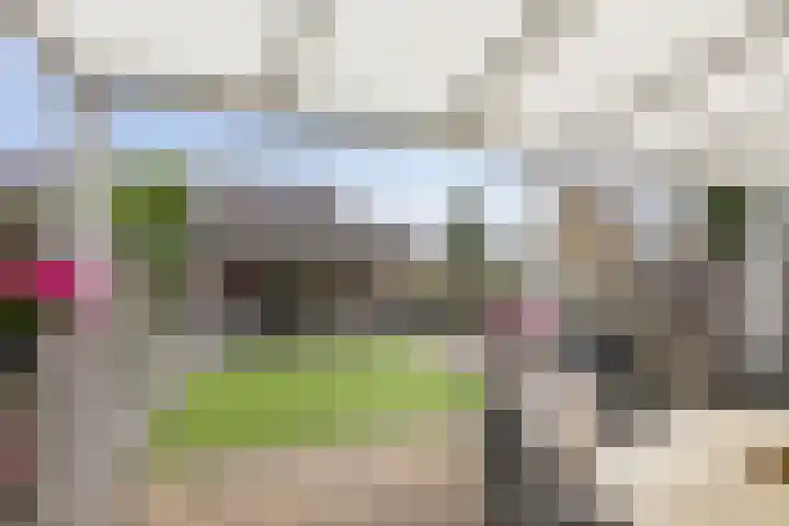 Het Voorste Streekje 3 Muntendam thumbnail 31