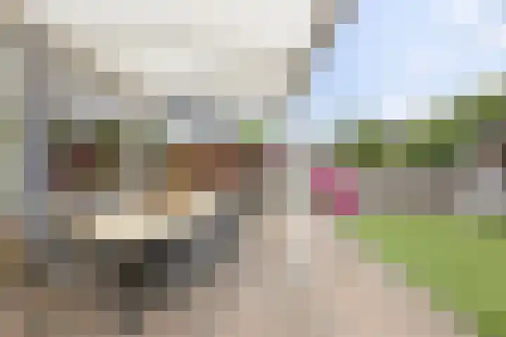Het Voorste Streekje 3 Muntendam thumbnail 32