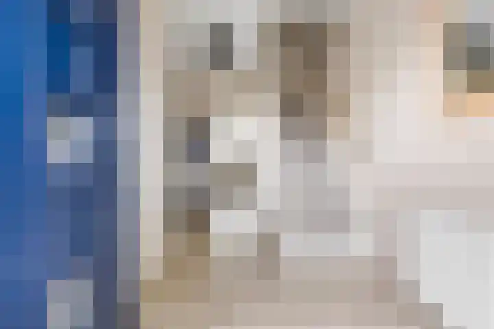 Het Voorste Streekje 3 Muntendam thumbnail 6