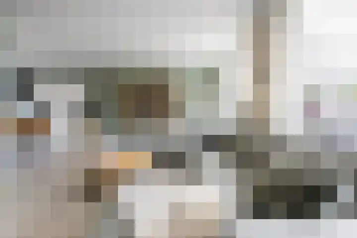 Het Voorste Streekje 3 Muntendam thumbnail 8