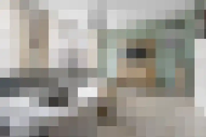 Het Voorste Streekje 3 Muntendam thumbnail 9