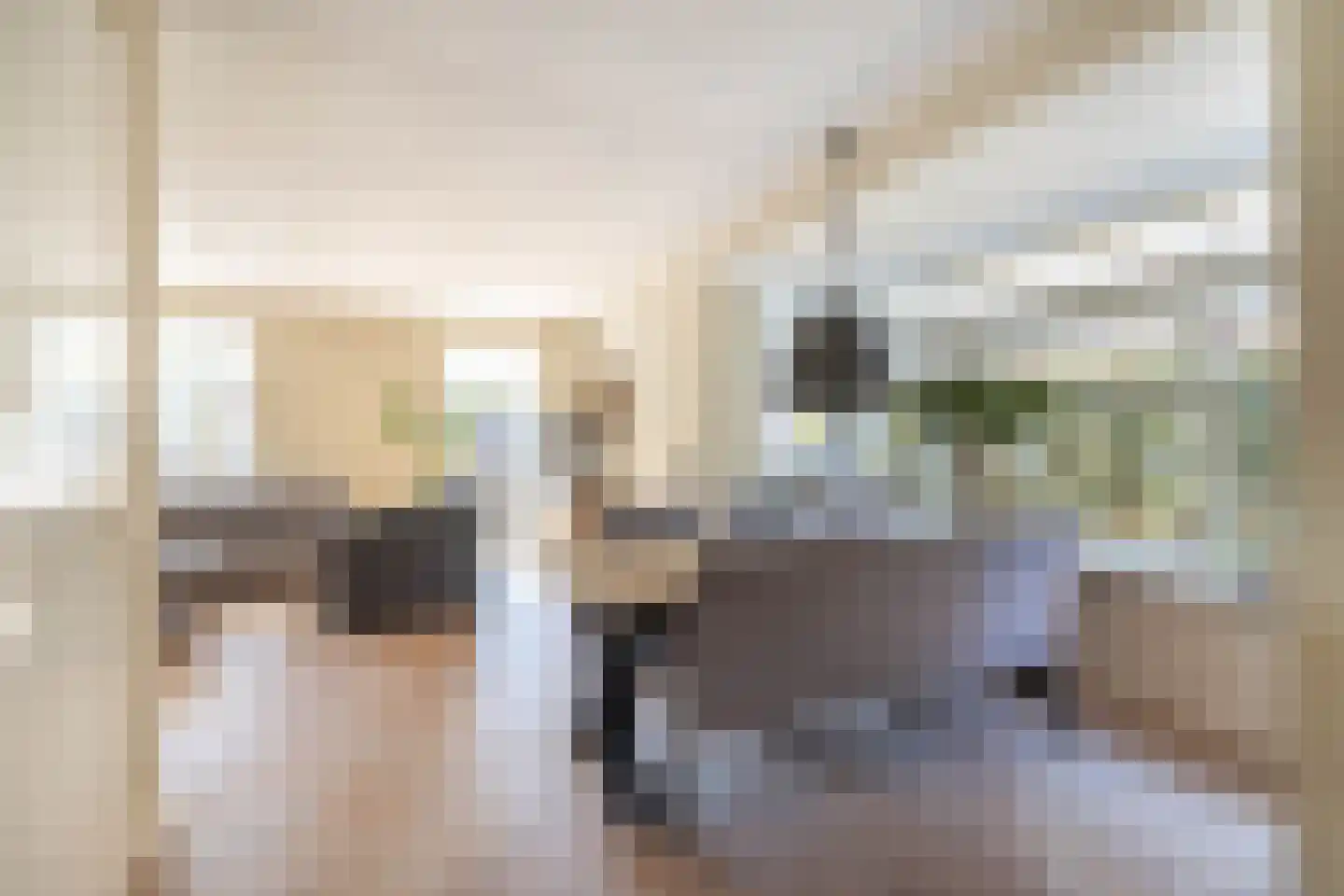 Het Vossekamp 14 Almelo thumbnail 12