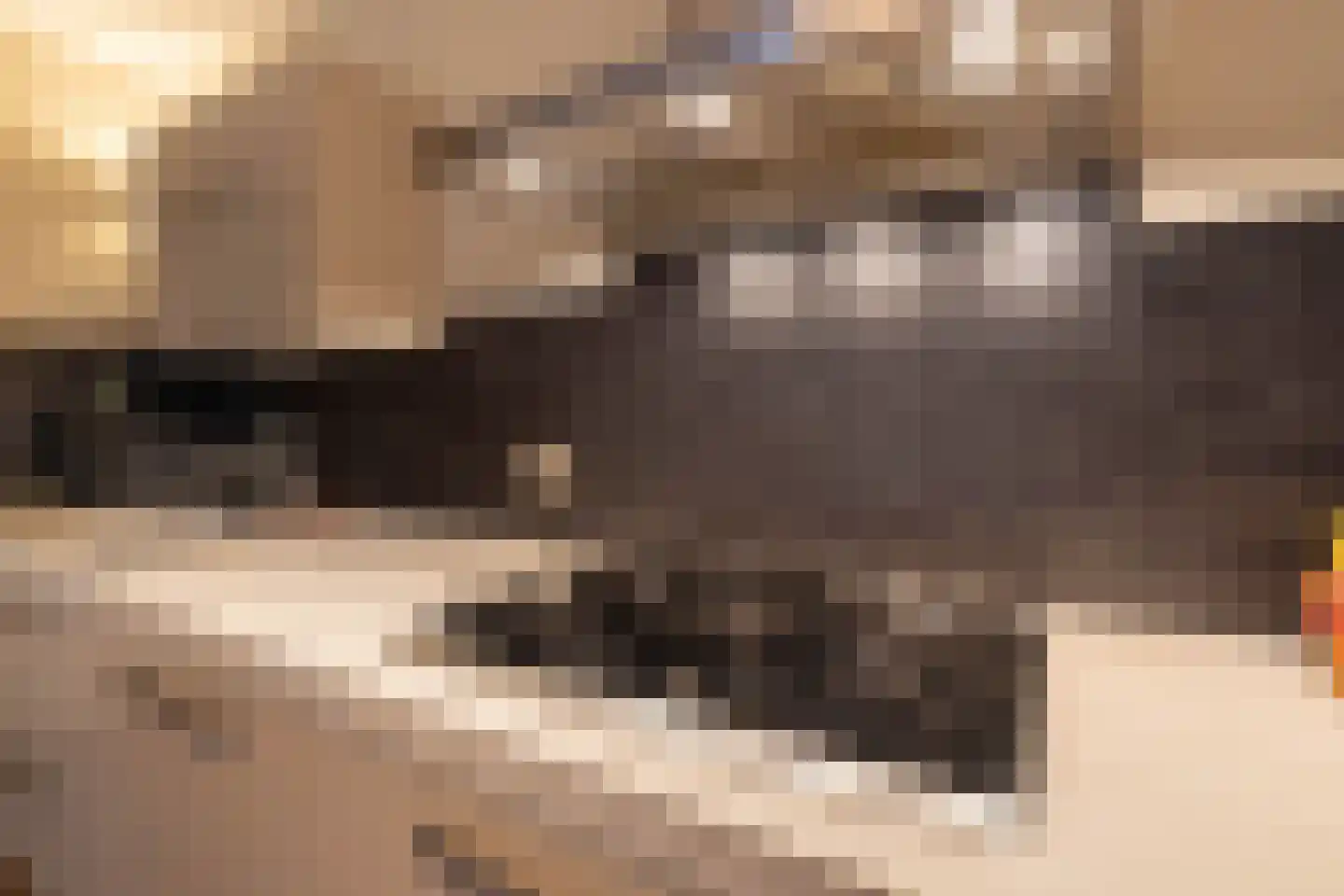 Het Vossekamp 14 Almelo thumbnail 14