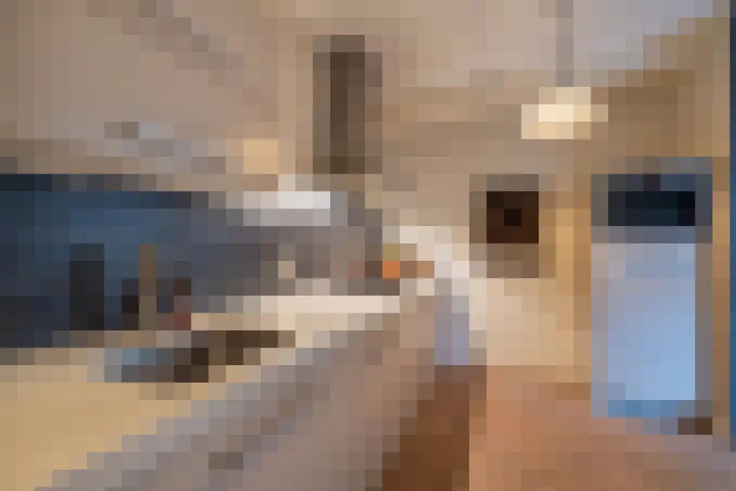 Het Vossekamp 14 Almelo thumbnail 15