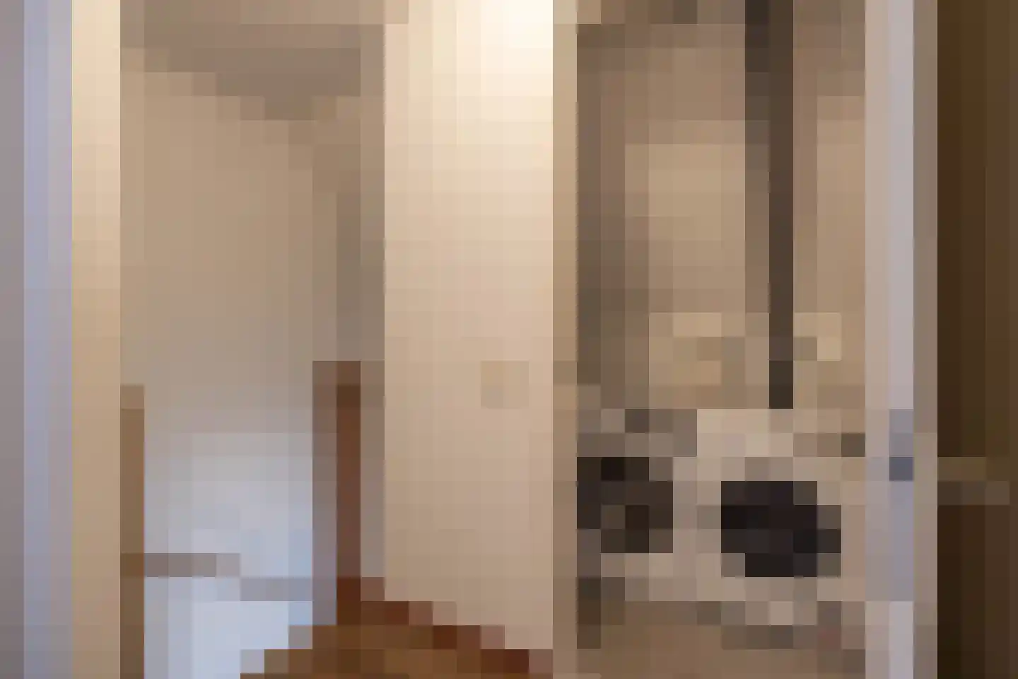 Het Vossekamp 14 Almelo thumbnail 30