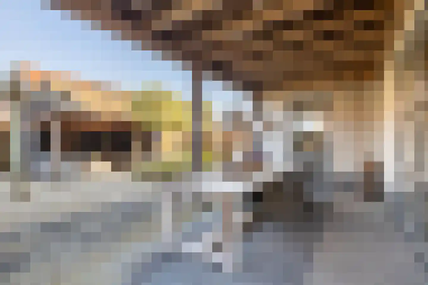 Het Vossekamp 14 Almelo thumbnail 33