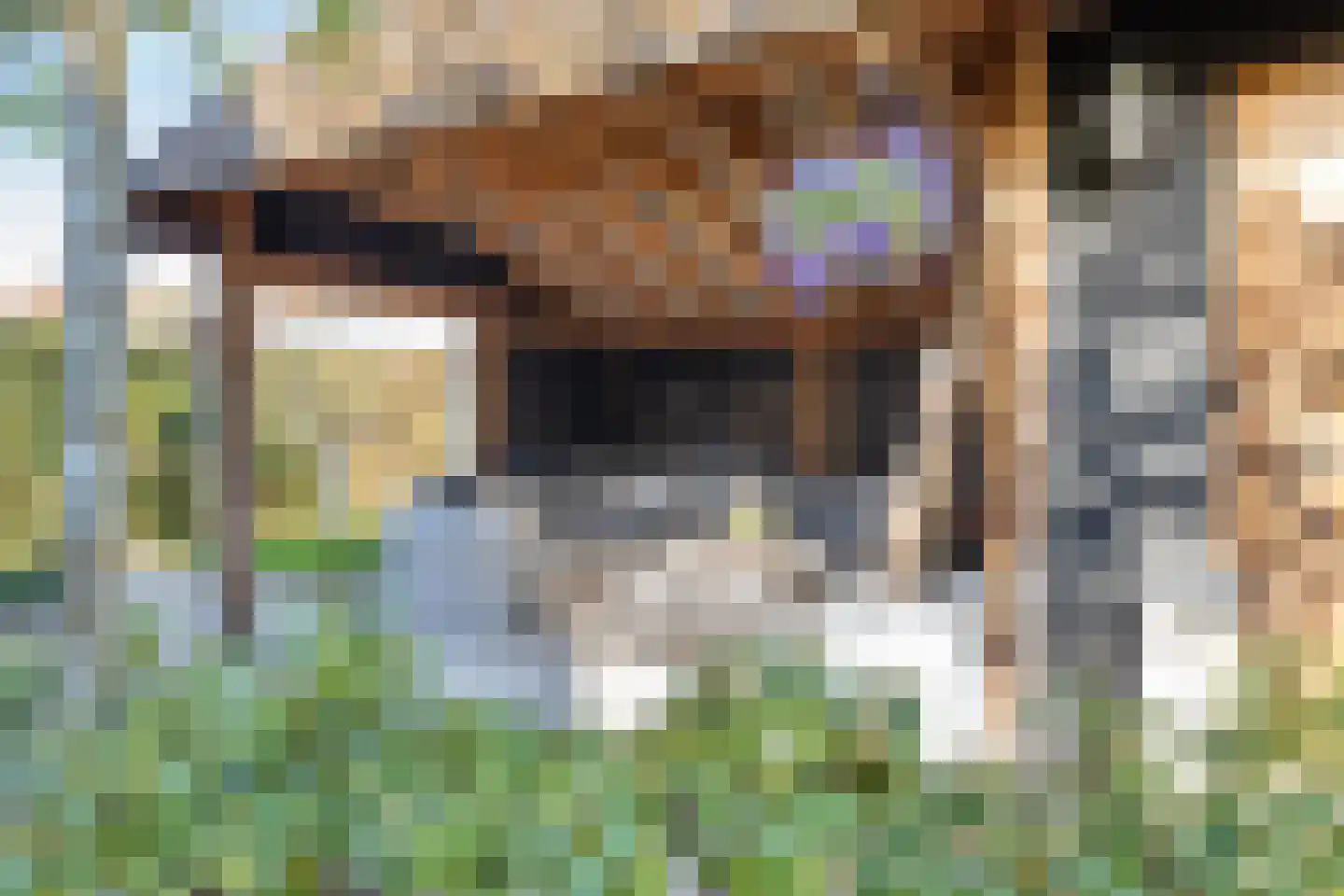 Het Vossekamp 14 Almelo thumbnail 6