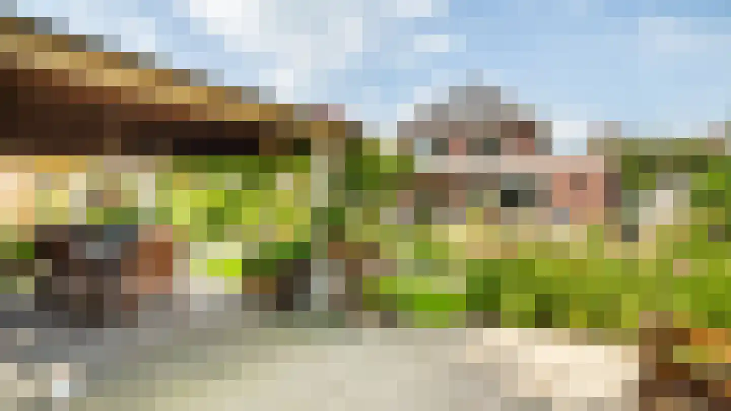 Het Vossekamp 25 Almelo foto 3