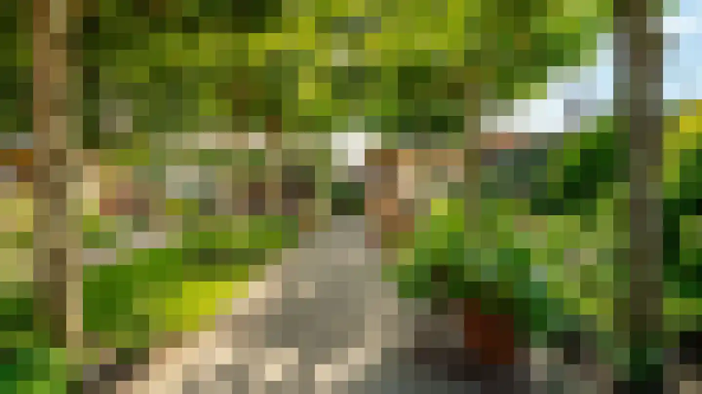 Het Vossekamp 25 Almelo thumbnail 37