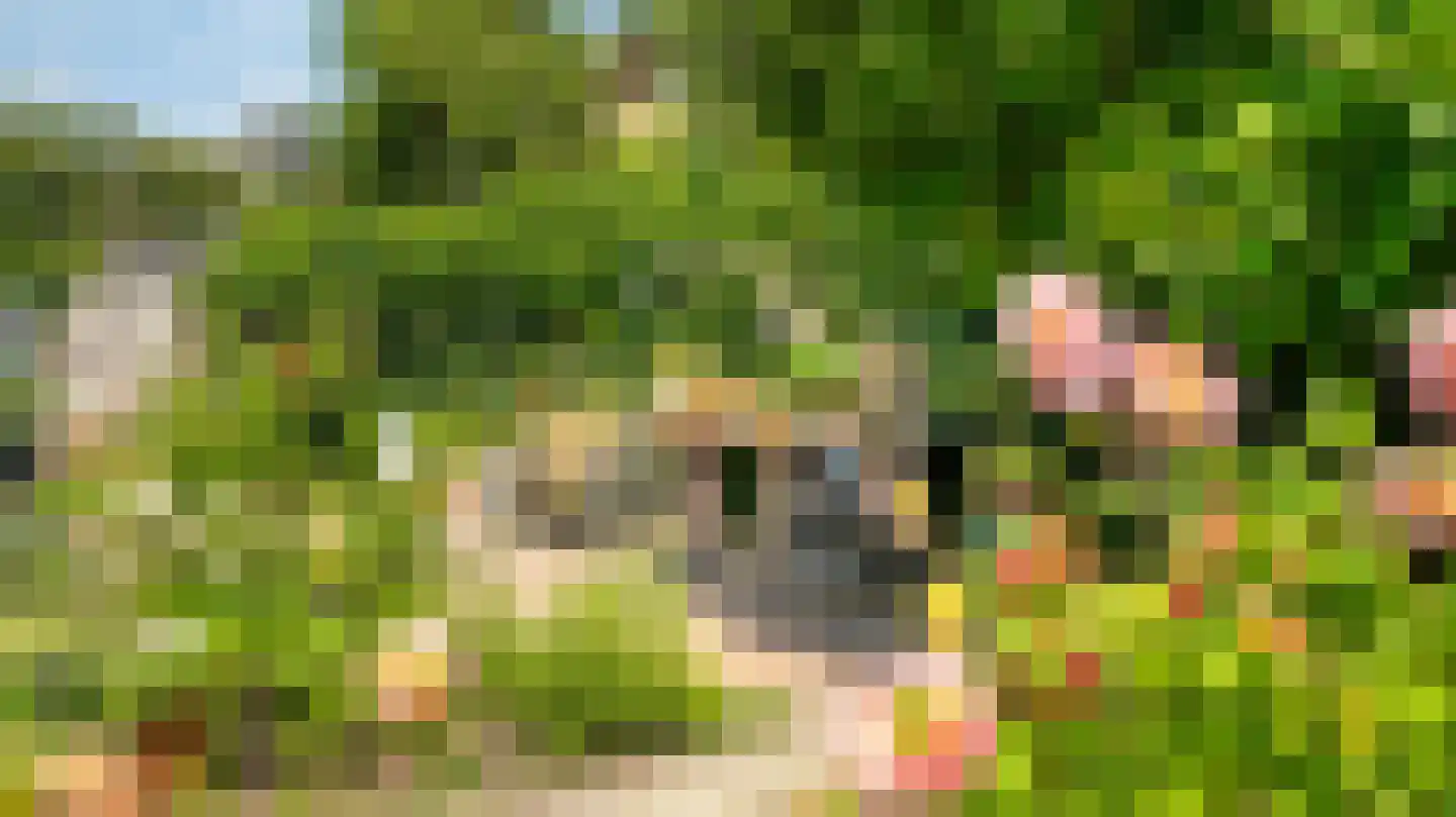 Het Vossekamp 25 Almelo thumbnail 43