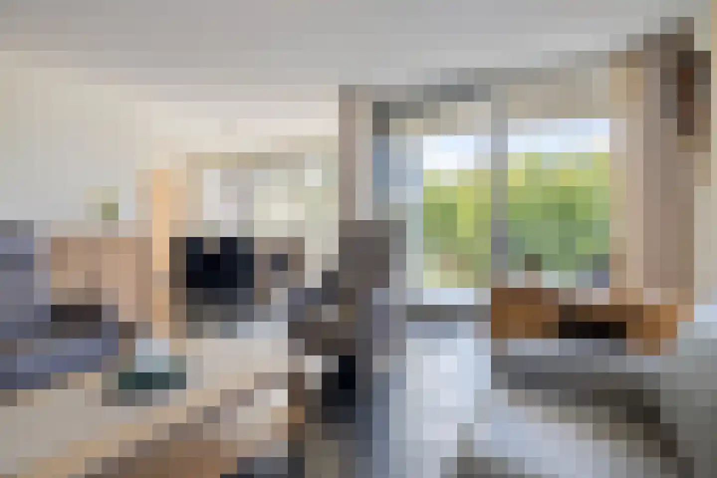 Het Waal 16 Emmen thumbnail 17