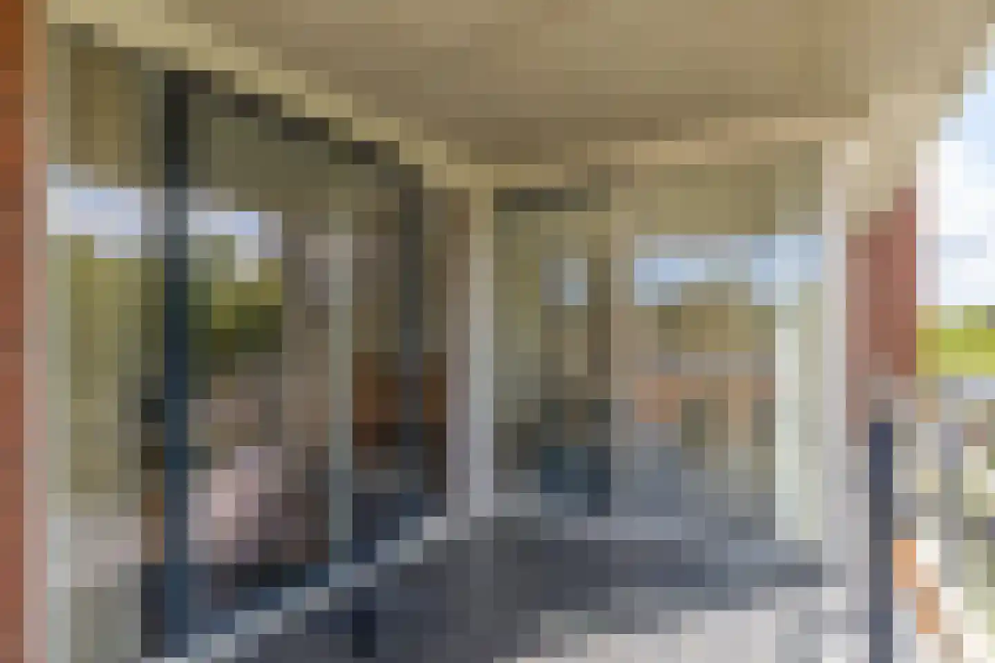 Het Waal 16 Emmen thumbnail 18
