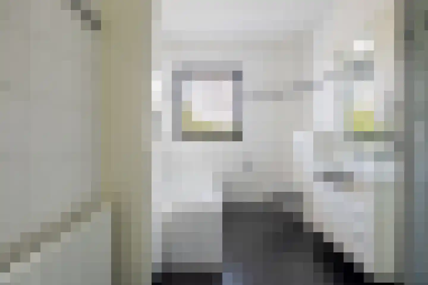 Het Waal 16 Emmen thumbnail 30