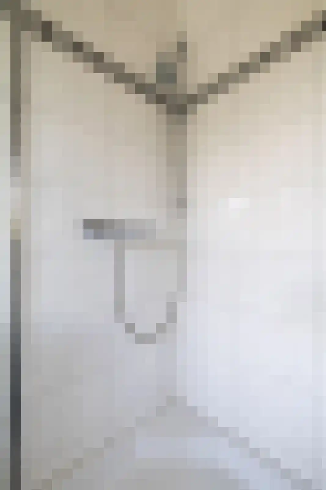 Het Waal 16 Emmen thumbnail 31