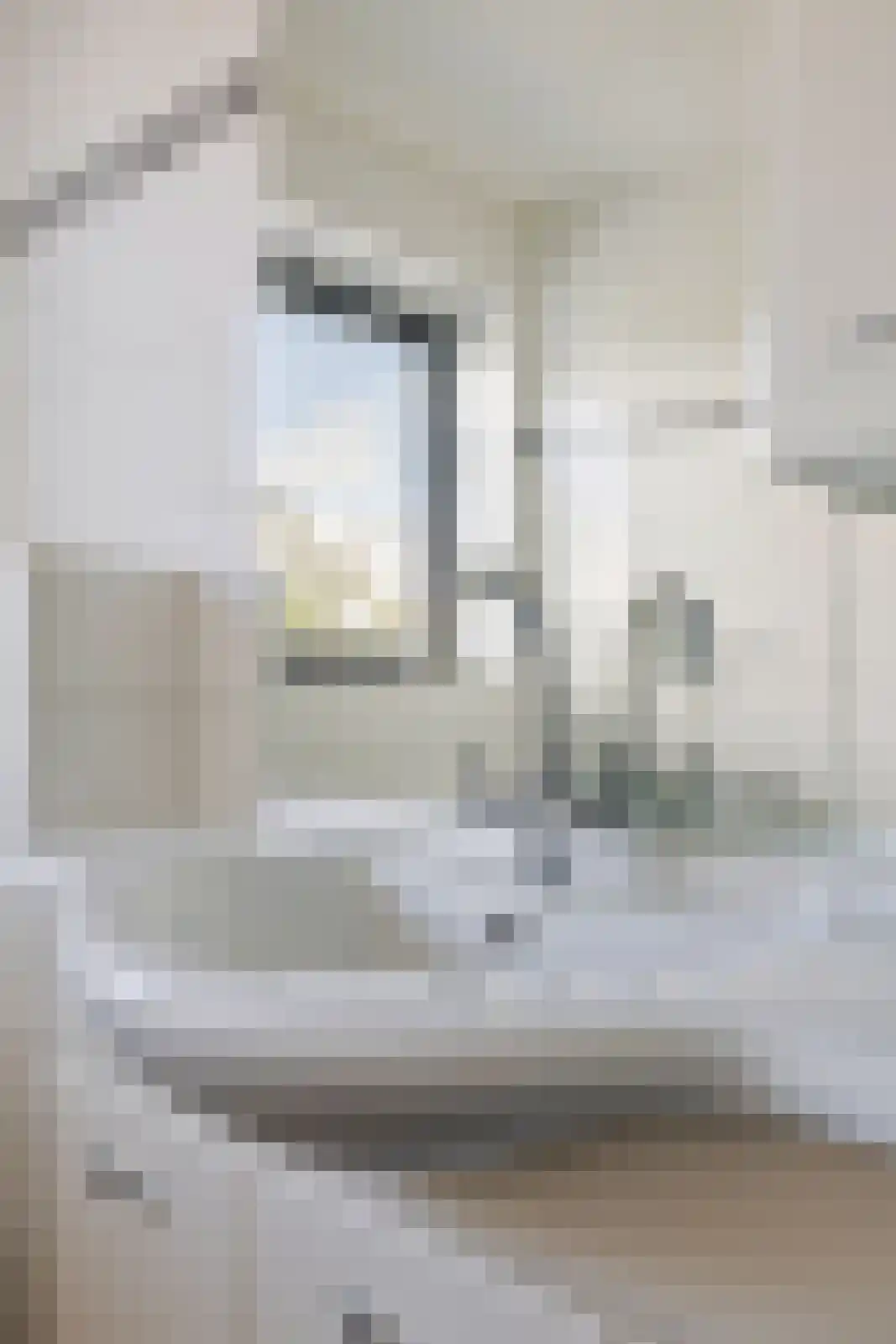 Het Waal 16 Emmen thumbnail 32