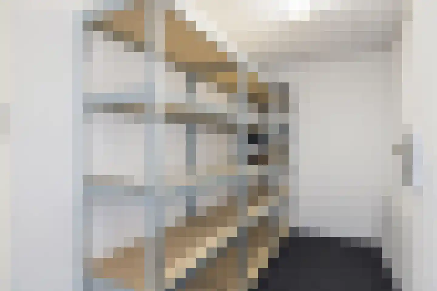 Het Waal 16 Emmen thumbnail 37