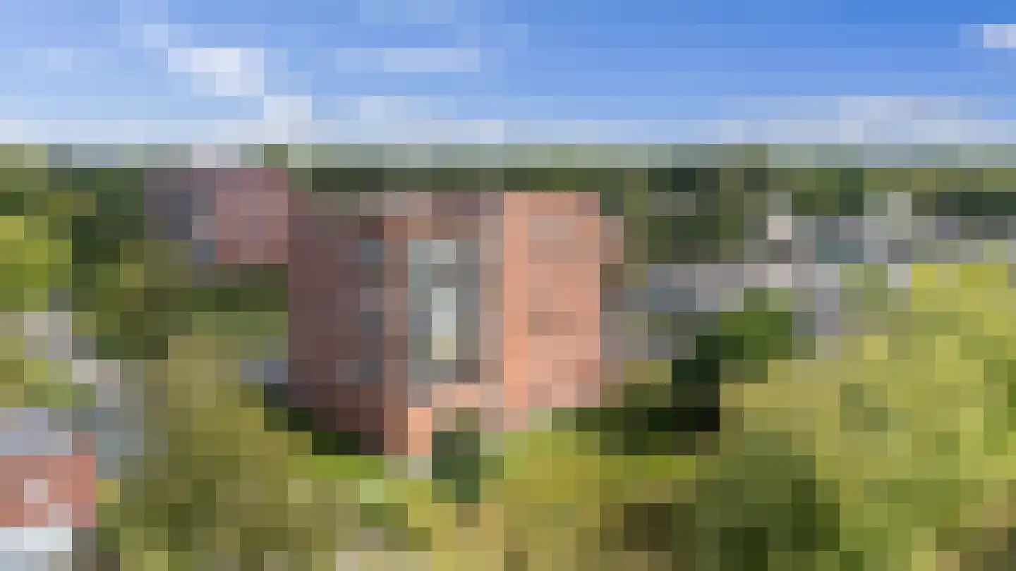 Het Waal 16 Emmen thumbnail 4