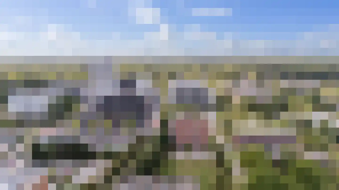 Het Waal 16 Emmen thumbnail 47