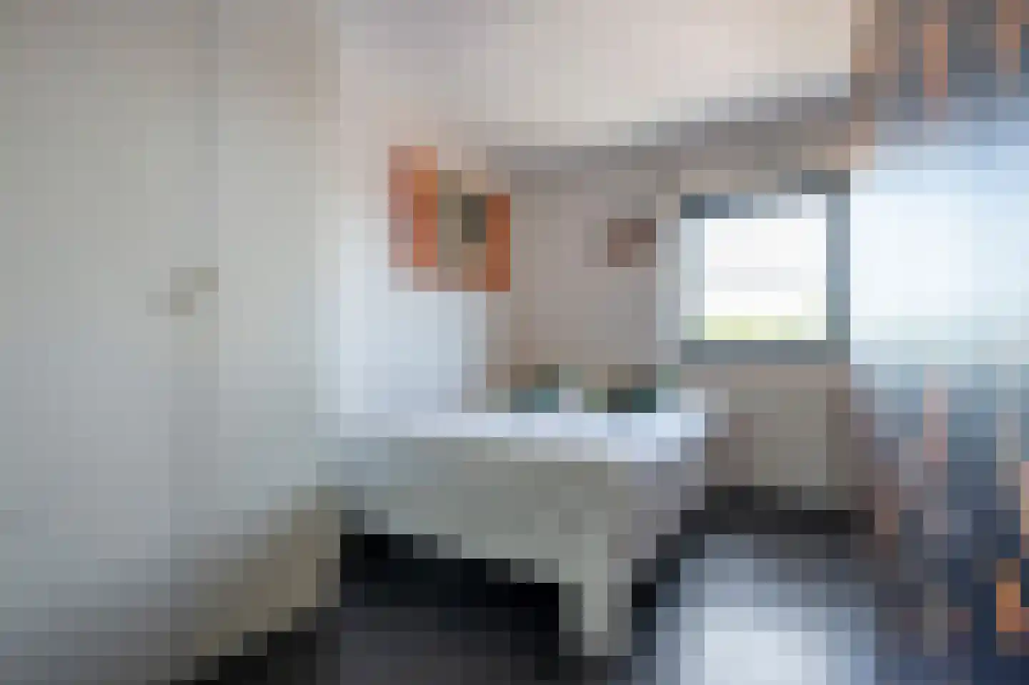 Het Waal 22 Emmen thumbnail 16