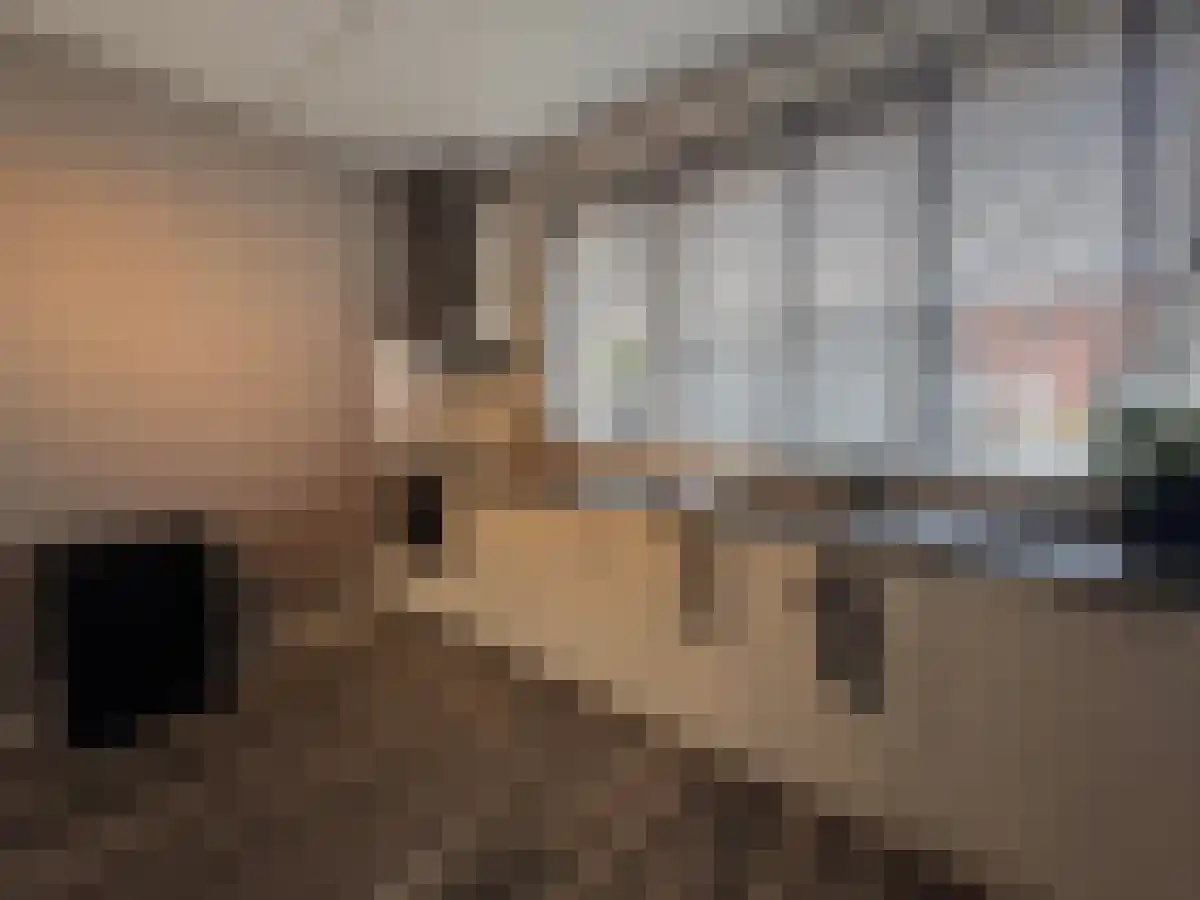 Het Waal 39 Emmen thumbnail 6