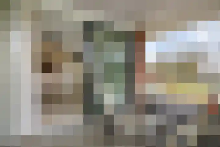 Het Waal 76 Emmen thumbnail 12