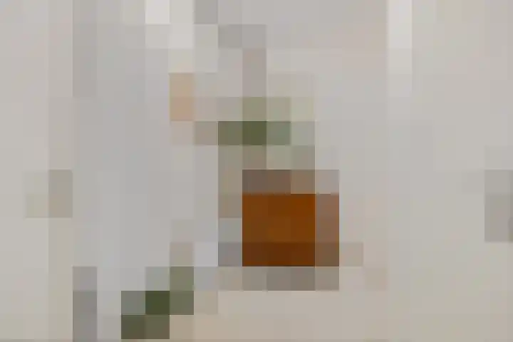 Het Waal 76 Emmen thumbnail 34