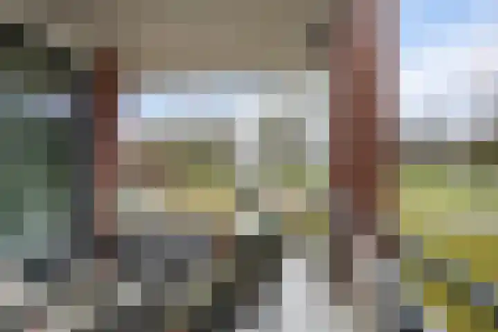 Het Waal 76 Emmen thumbnail 36