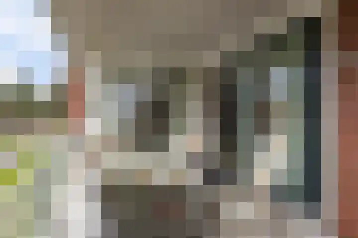 Het Waal 76 Emmen thumbnail 39