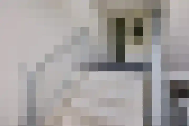 Het Waal 8 Emmen thumbnail 13