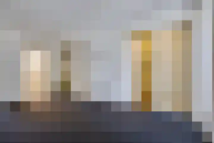 Het Waal 8 Emmen thumbnail 15