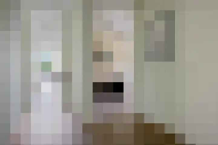 Het Waal 8 Emmen thumbnail 18