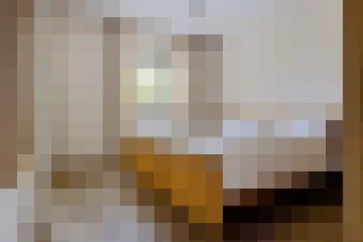 Het Waal 8 Emmen thumbnail 19