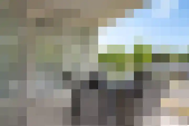 Het Waal 8 Emmen foto 2