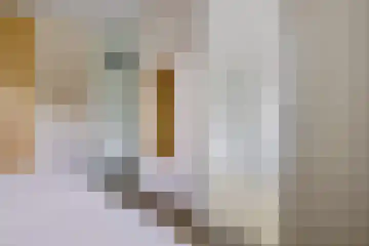 Het Waal 8 Emmen thumbnail 21