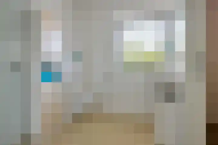 Het Waal 8 Emmen thumbnail 23