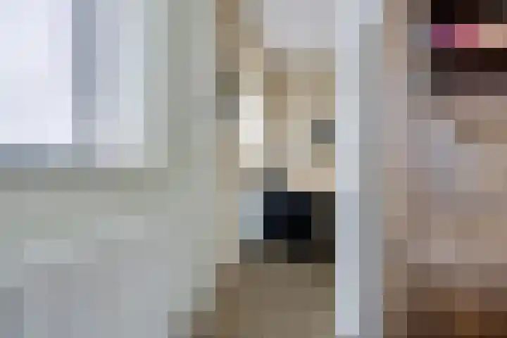 Het Waal 8 Emmen thumbnail 28