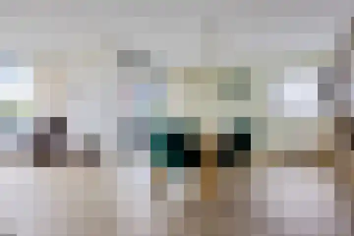 Het Waal 8 Emmen thumbnail 30