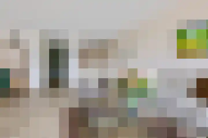 Het Waal 8 Emmen thumbnail 32