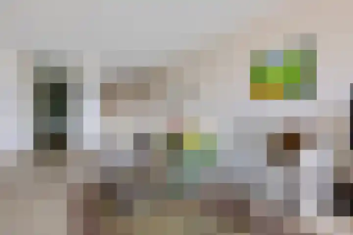 Het Waal 8 Emmen thumbnail 33