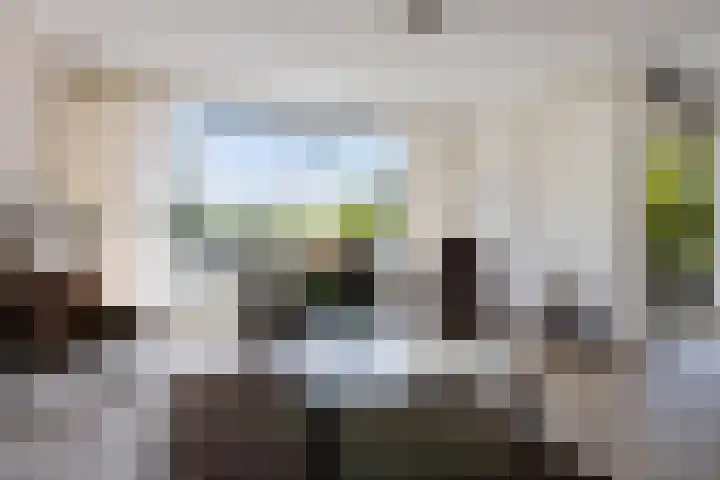 Het Waal 8 Emmen thumbnail 34
