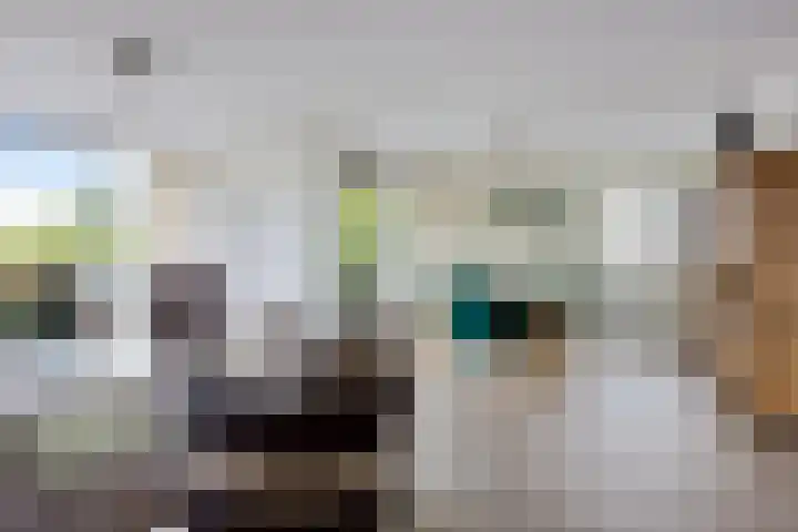 Het Waal 8 Emmen thumbnail 35