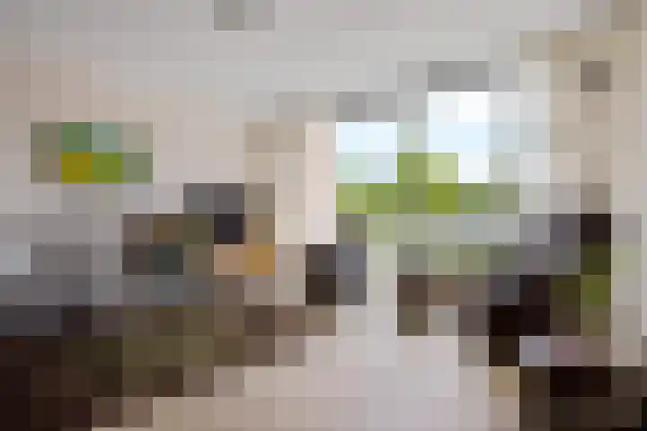 Het Waal 8 Emmen thumbnail 39