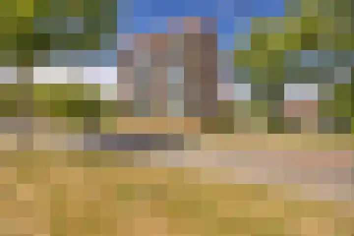 Het Waal 8 Emmen thumbnail 4
