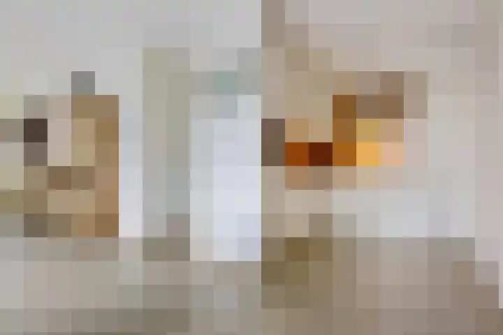 Het Waal 8 Emmen thumbnail 40