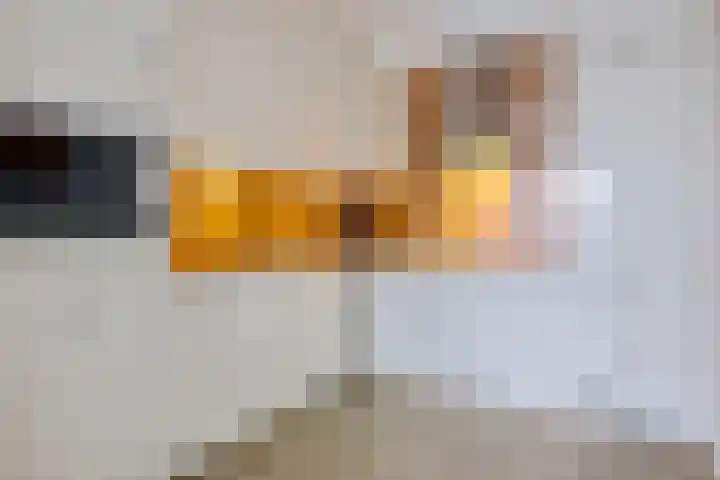 Het Waal 8 Emmen thumbnail 41