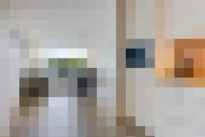Het Waal 8 Emmen thumbnail 42