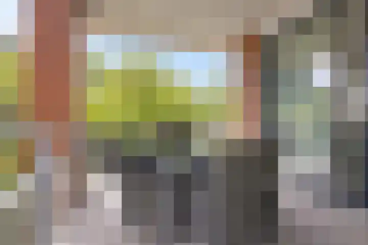Het Waal 8 Emmen thumbnail 43