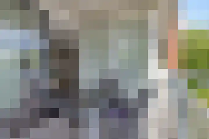Het Waal 8 Emmen thumbnail 44