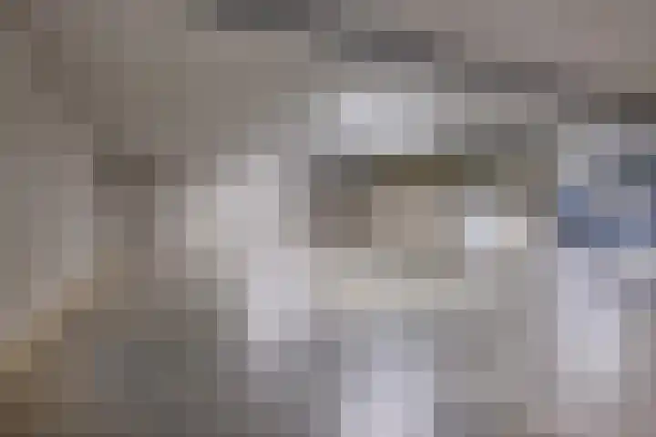 Het Waal 8 Emmen thumbnail 45