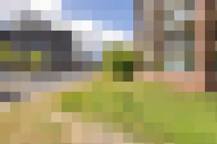 Het Waal 8 Emmen thumbnail 7